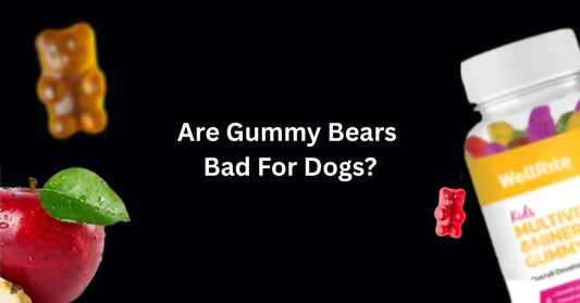 Are Gummy Bears Bad For Dogs?